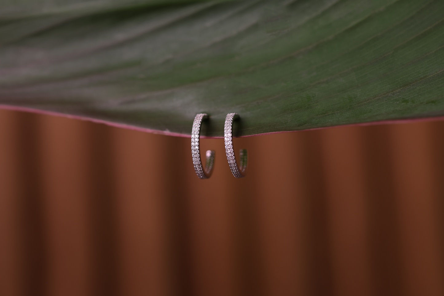 Radiant Crystal Hoop Earrings