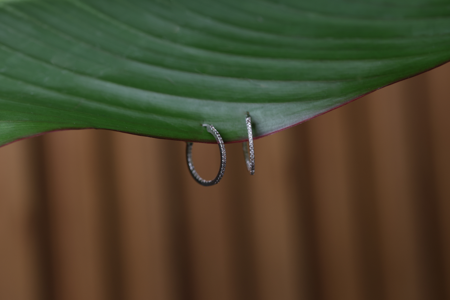 Elegance Hoop Earrings