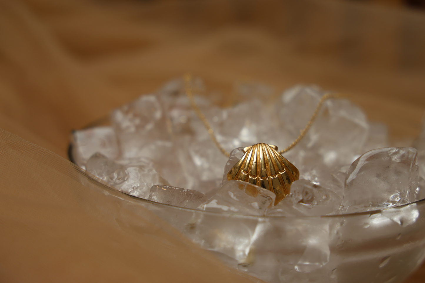 Golden Shell Necklace