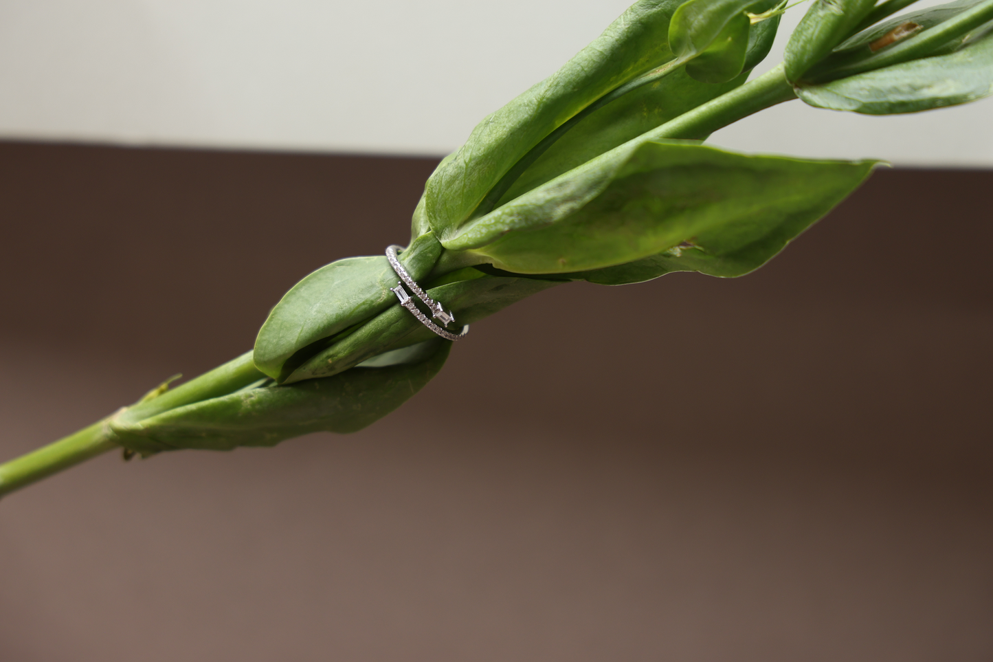 Luminous ring