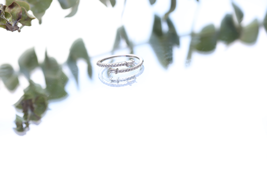 Luminous ring